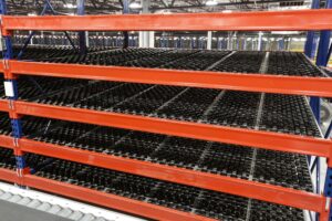 Carton Flow Rack - Apex Companies