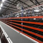 Pick Module - Apex Companies