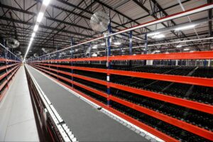 Carton Flow Rack - Apex Warehouse Systems 