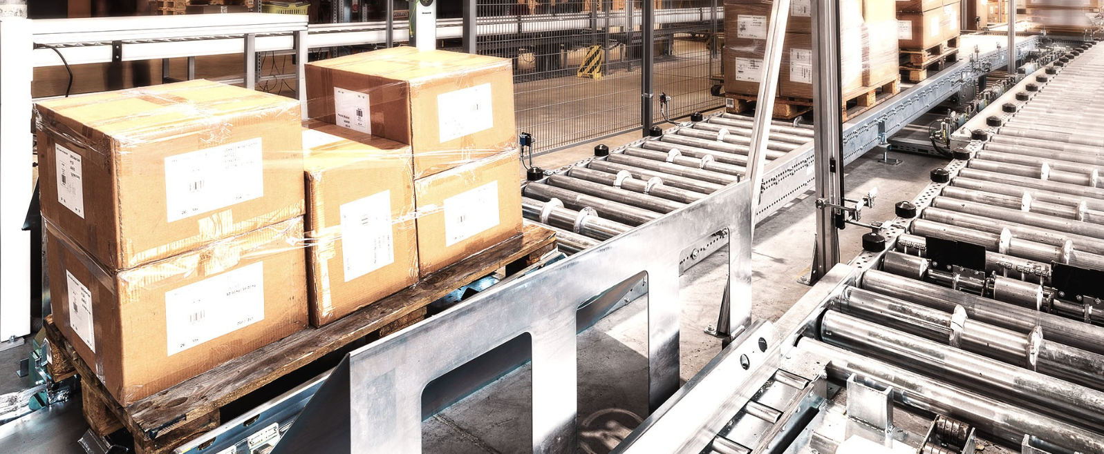 Automated Pallet Conveyors | Apex Companies