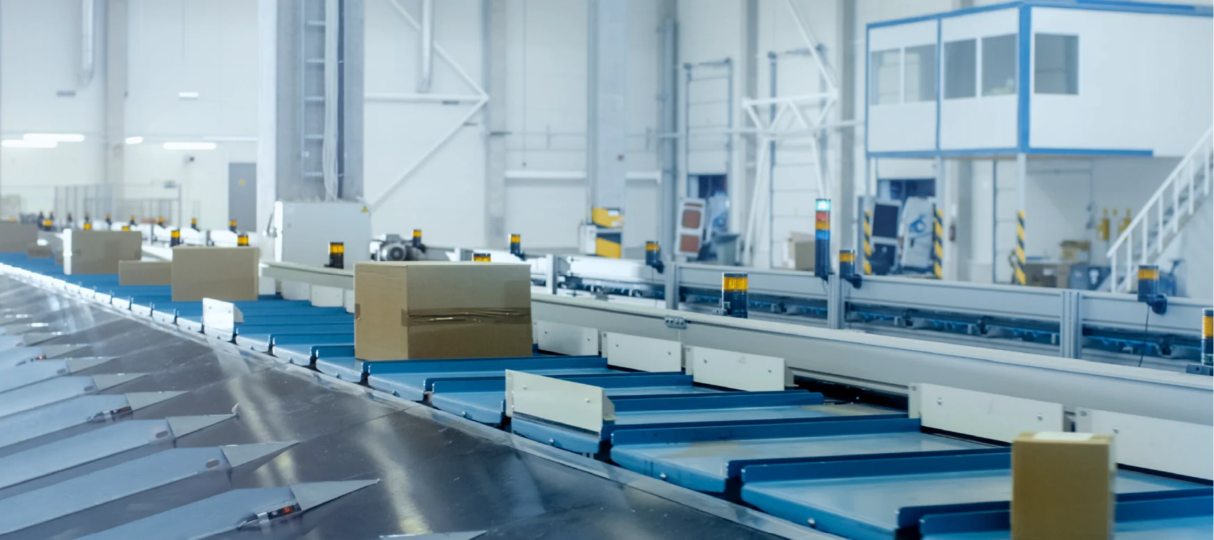 Conveyor Sortation | Apex Companies